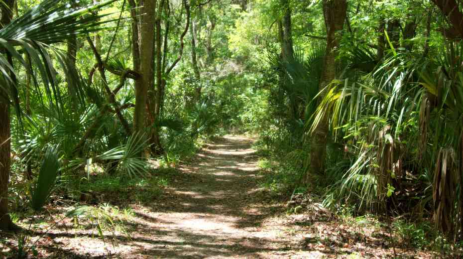Family-friendly Jungle Prada Site in St. Pete Beach Florida