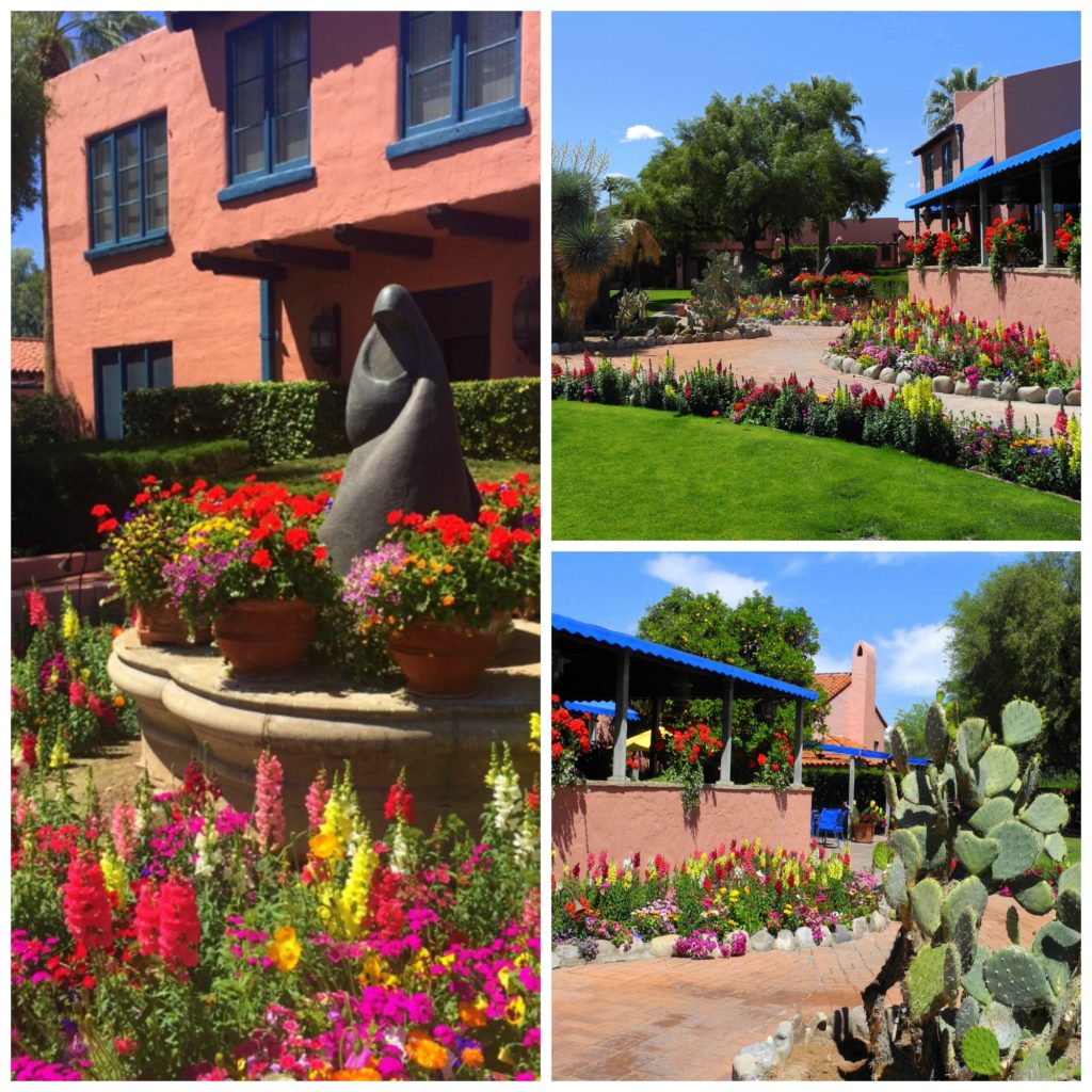Arizona Inn with kids