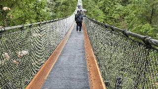 Standing on the Capilano Suspension Bridge