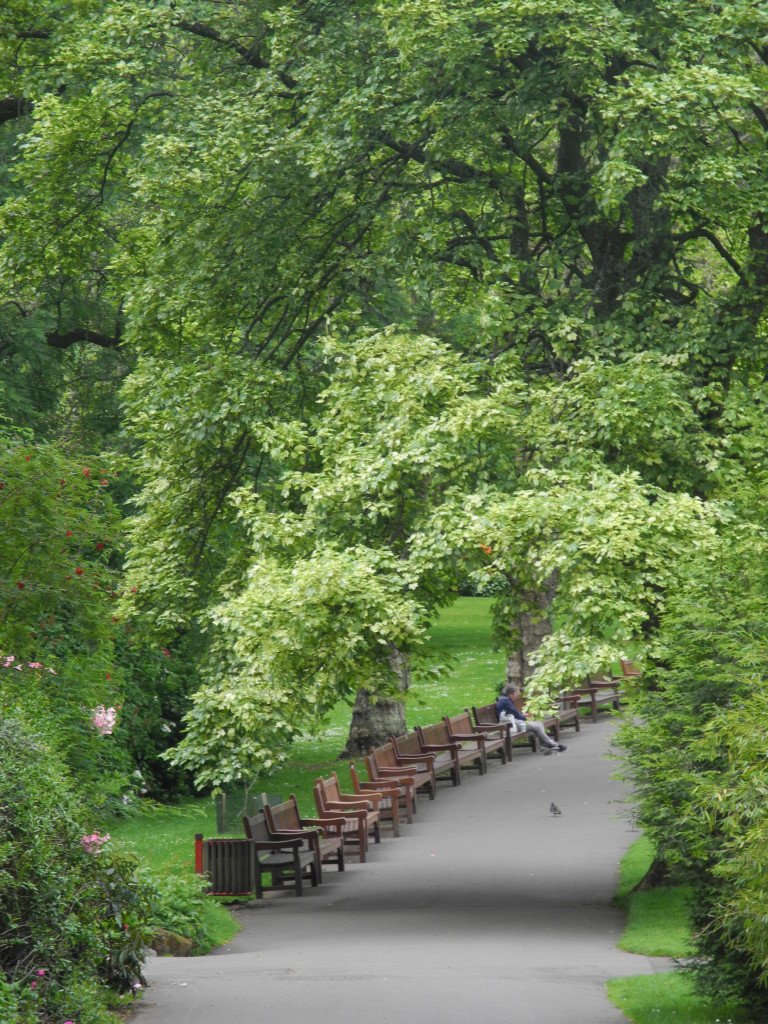 visit glasgow botanic gardens with kids