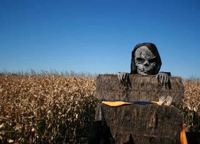 Haunted Corn Maze