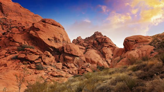 Red Rock Canyon Tour