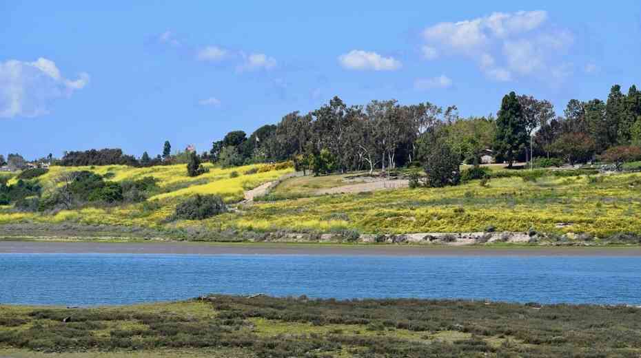 Newport Back Bay