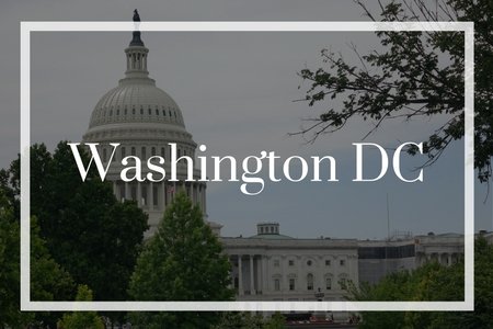 Washington DC Family Travel Guides