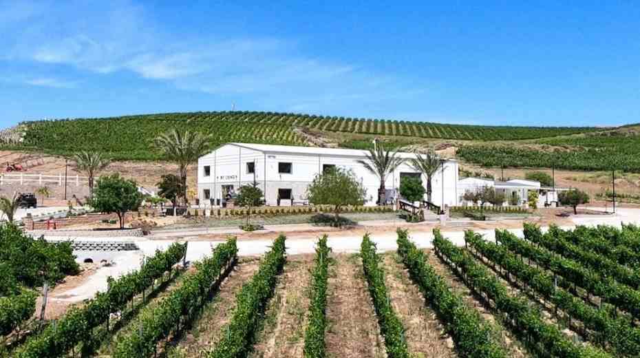 Akash Winery