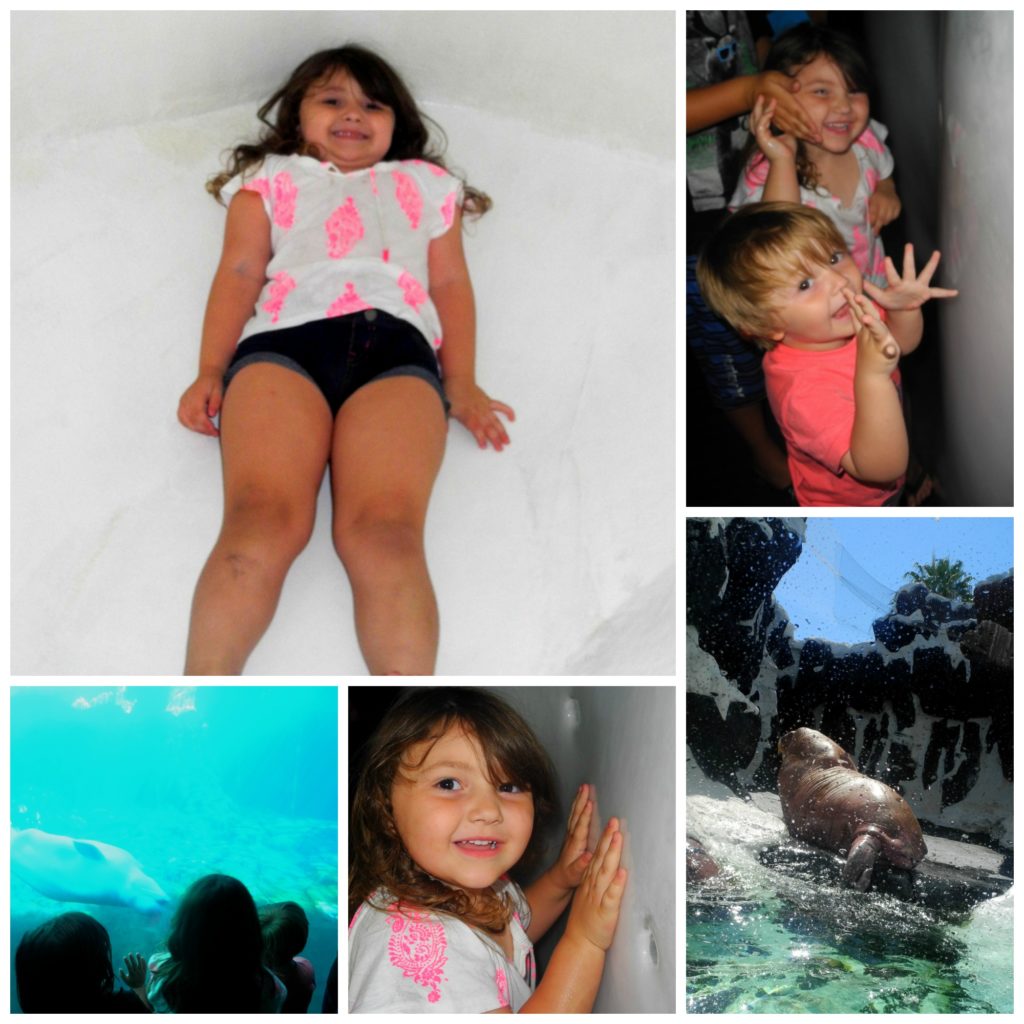 kid fun at SeaWorld San Diego