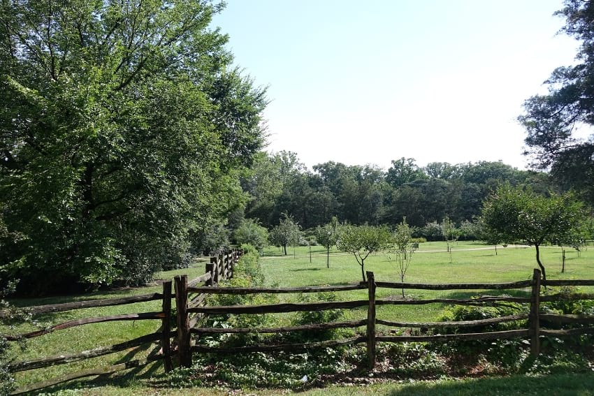 Mount Vernon Green gardens