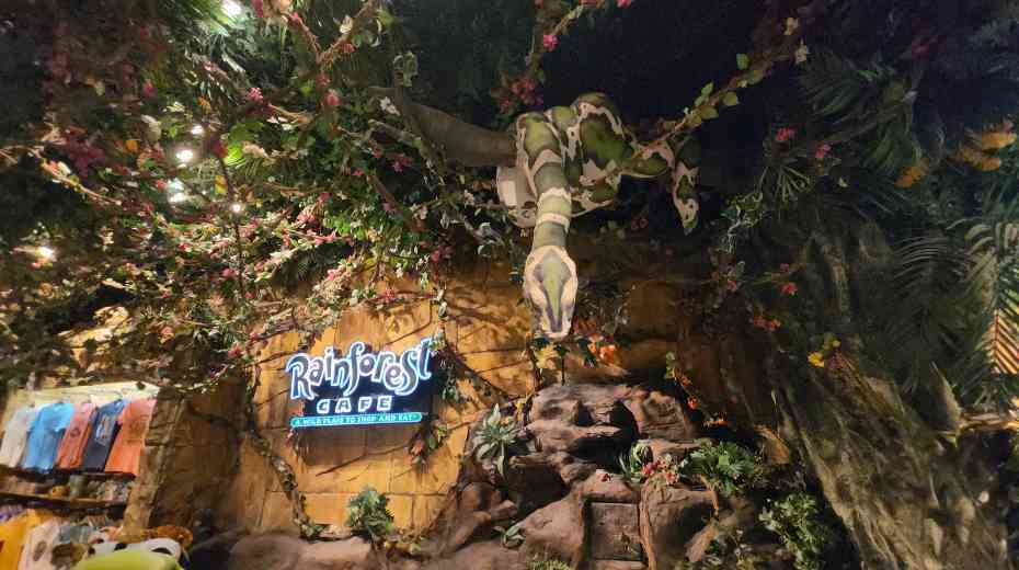 Rainforest Cafe Family Las Vegas Restaurant