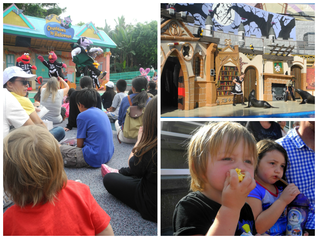 SeaWorld Halloween