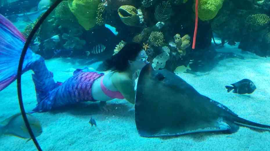 Free Silverton mermaids Las Vegas