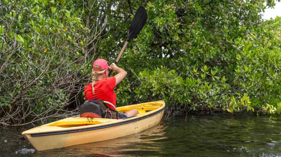 activities in the everglades