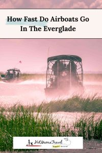 How Fast Do Airboats Go in the Everglades?